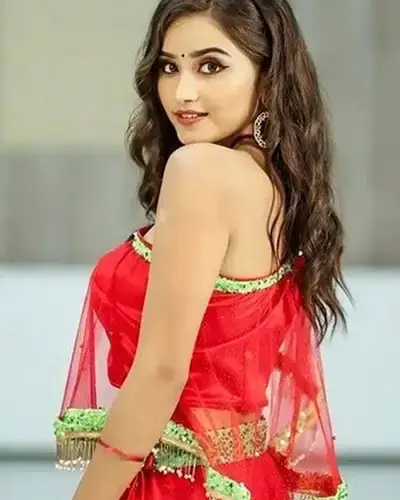 Call Girls Service Sironcha